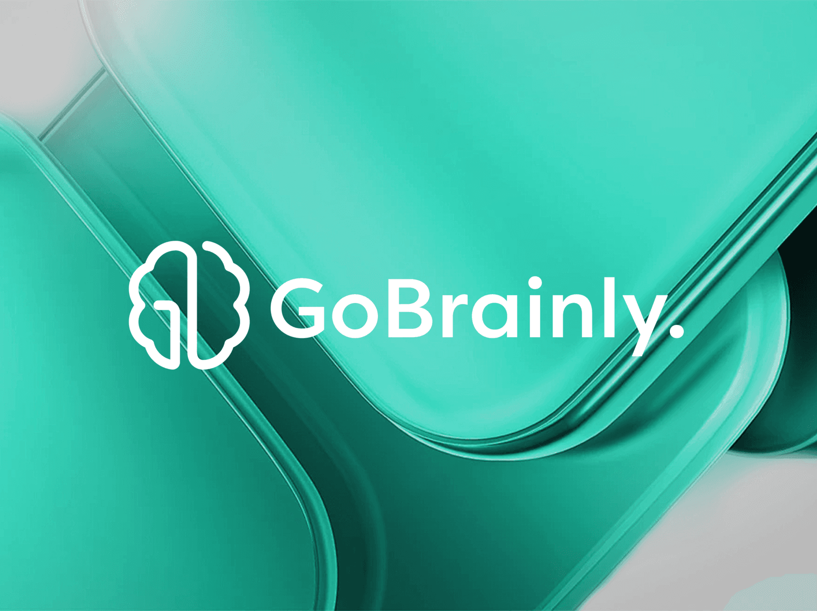 GoBrainly detail 1